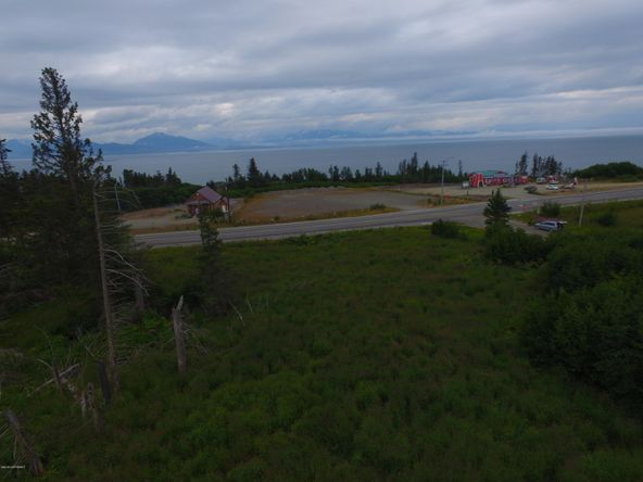 3658 Forest Glen Dr, Homer, AK 99603